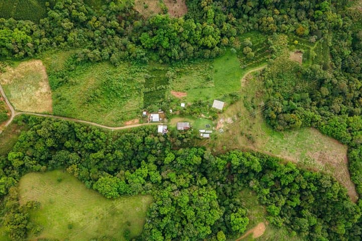 Visite privée d'une ferme de café à Medellin et vue sur la campagne image 2