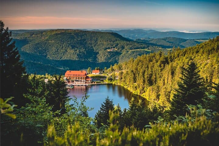 Experimente Baden-Baden y la Selva Negra desde Frankfurt