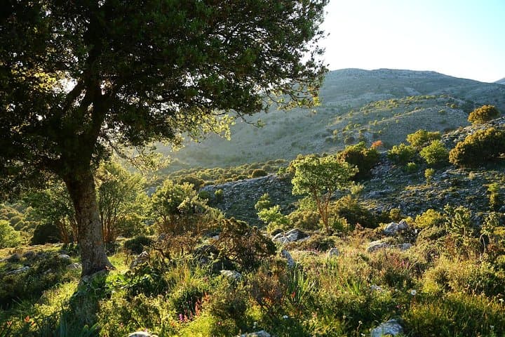Excursión privada de un día a Therisos, Zourva y Meskla desde La Canea imagen 2