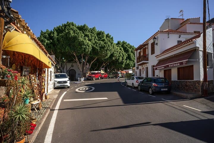 Visite privée des meilleures villes rurales de Gran Canaria image 2
