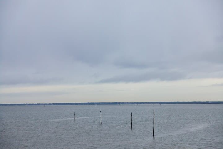 From Bordeaux Arcachon Bay and Pilat Dunes Day Trip image 5