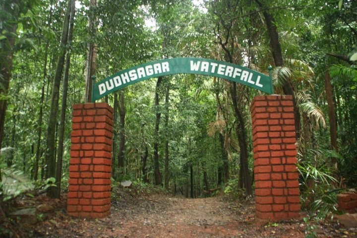Visite privée des chutes Dudhsagar et de la plantation d'épices image 6