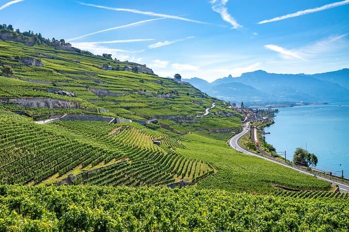 Excursión privada de un día desde Ginebra a Lausana y viñedos de Lavaux imagen 2