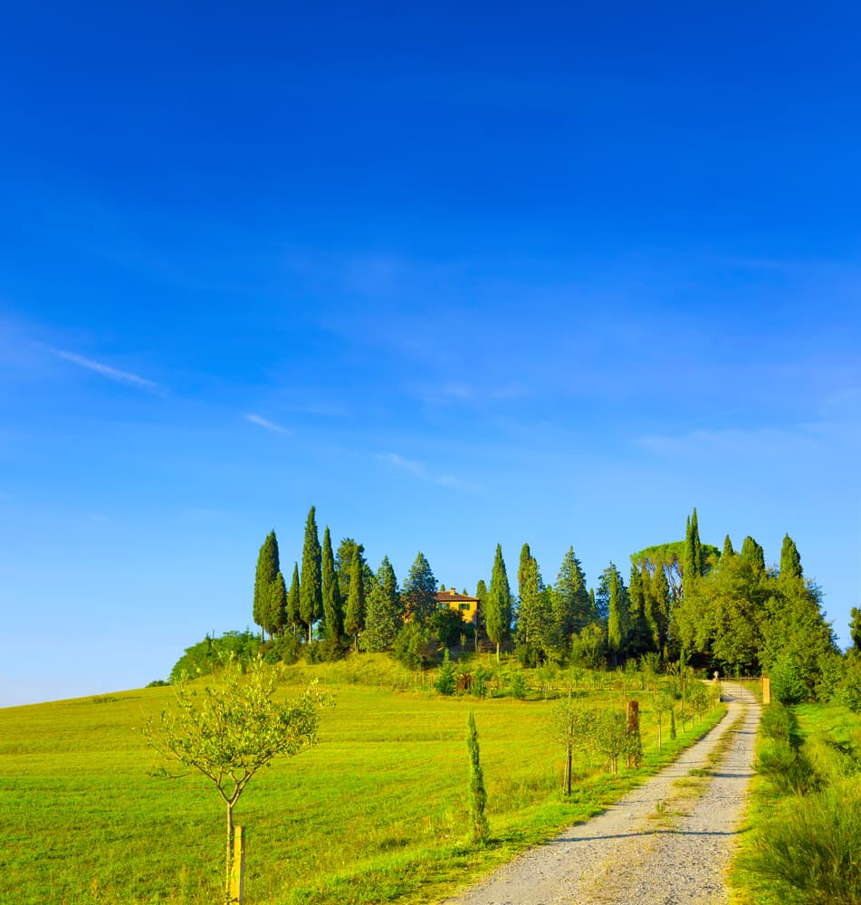 Cooking Class & Wine Tasting in a Chianti Farm image 5