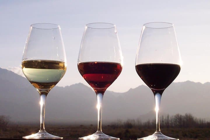 Tour privado de vino y comida por el valle del Duero desde Oporto imagen 4