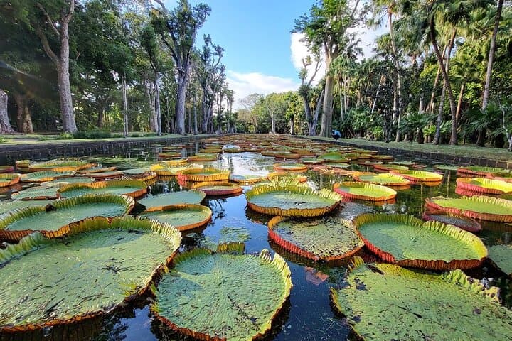 Discover Northern Mauritius - Private, Customized Full-Day Adventure image 2