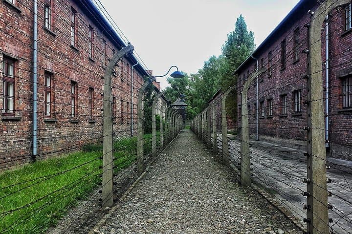 Cracovie à Auschwitz-Birkenau: expérience aller-retour privée image 3