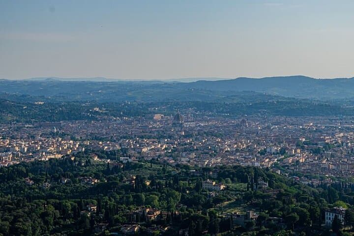 Private Florence History and Monuments Tour image 2