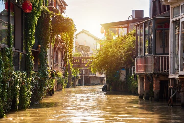 Shanghai Private Day Tour Water City Canals Bridges and Charm image 2