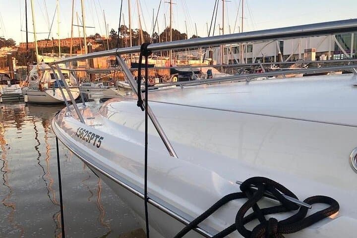 Private Sunset Cruise on Luxury Yacht, Day or Night in Porto image 5