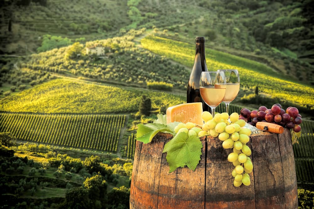 Cooking Class & Wine Tasting in a Chianti Farm image 3
