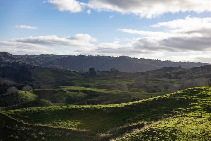 Visite privée d'Auckland à Hobbiton Shire et au plateau de tournage de Waikato image 4