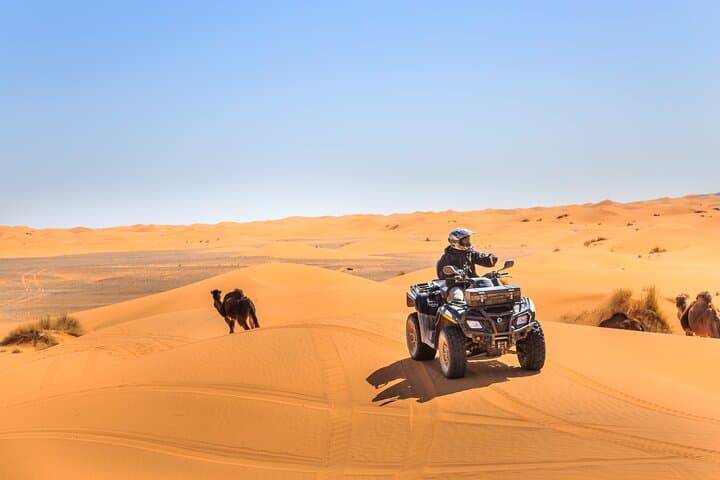 Aventure privée de safari dans le désert de Dubaï au cœur des dunes image 1