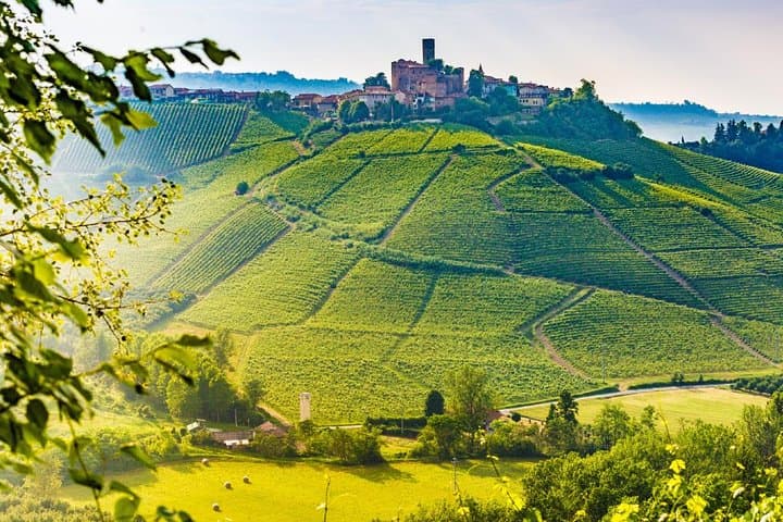 Tuscan Hills Horseback Riding Tour from Siena image 6