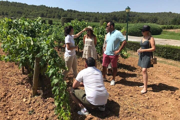 Desde Florencia: excursión privada de un día a Siena y San Gimignano imagen 5