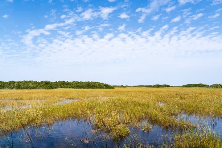 Tour privado en automóvil por el Parque Nacional Everglades