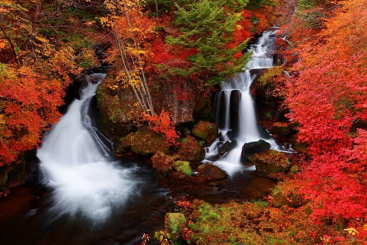 Excursión privada de un día a Nikko desde cascadas, lagos y montañas de Tokio imagen 4