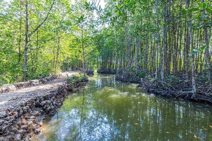 Visite privée des points forts d'Hô Chi Minh-Ville et évasion dans la nature image 3