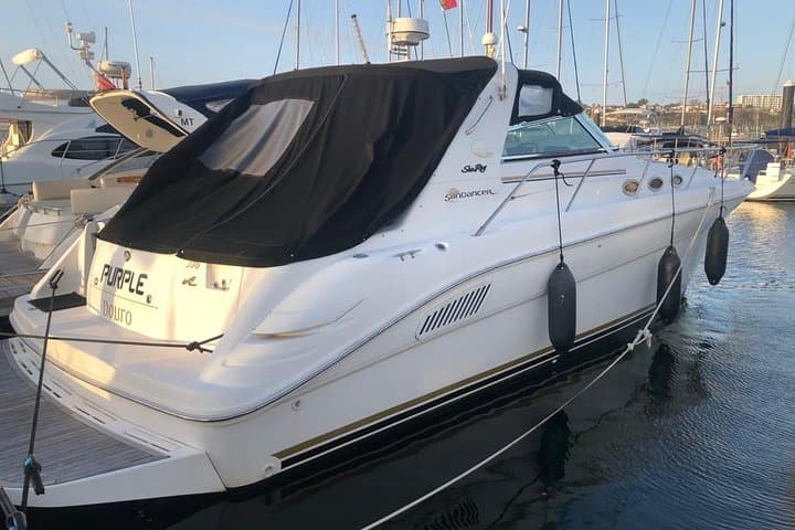 Crucero privado de un día en yate desde Oporto al valle del Duero imagen 2