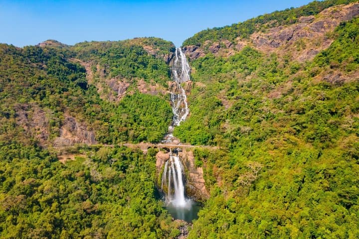 Visite privée des chutes Dudhsagar et de la plantation d'épices image 5