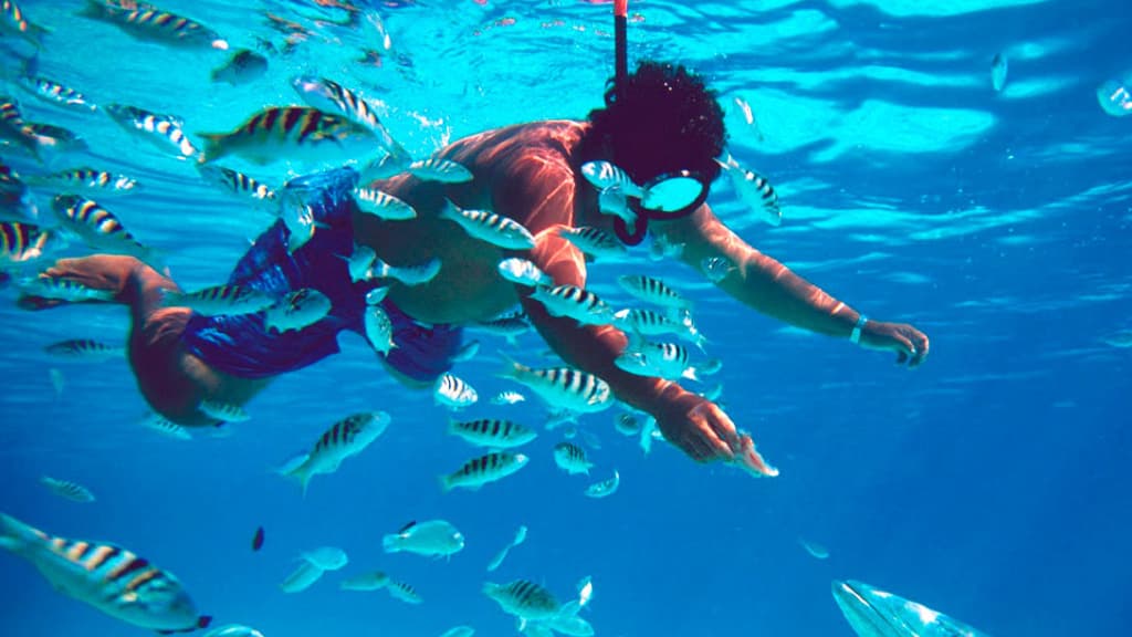Isla Mujeres en catamarán con esnórquel y club de playa imagen 5