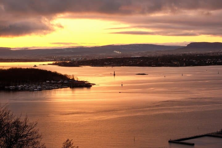 Tour privado nocturno por Oslo: luces de la ciudad y vistas al fiordo imagen 6