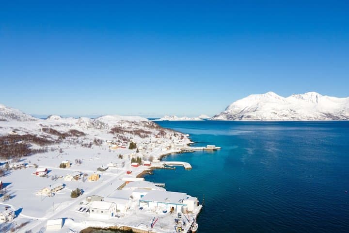 Tour panorámico privado por los fiordos de Kvaløya y Ersfjordbotn desde Tromso imagen 3