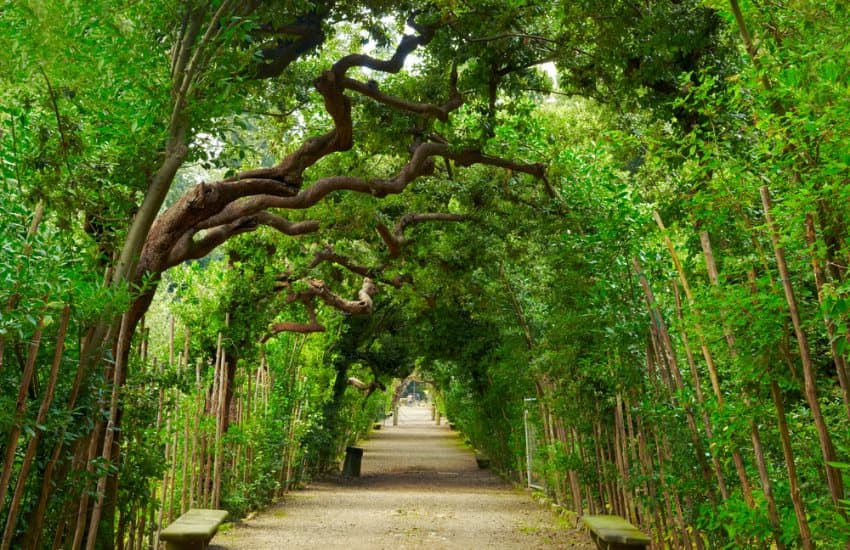 Boboli Gardens Guided Tour image 6