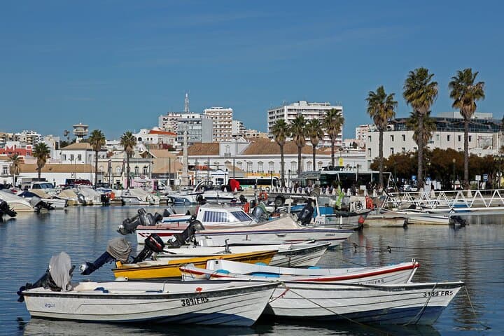 Visite culturelle et panoramique privée de Faro image 6