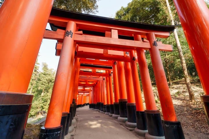 Osaka and Kyoto Fushimi Inari and Golden Pavilion Day Trip image 3