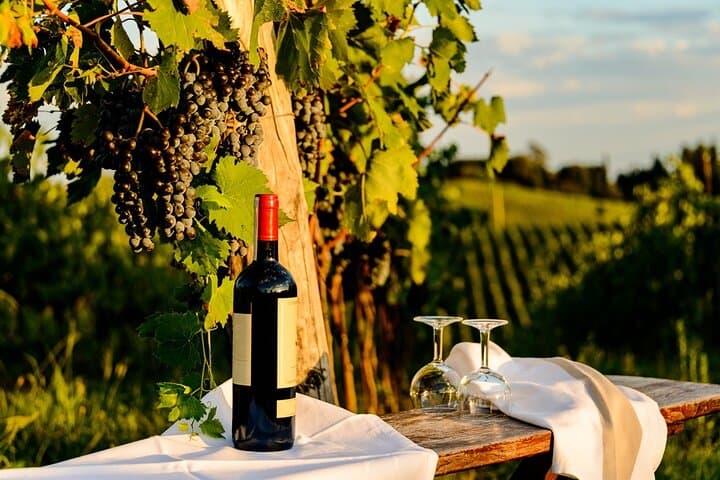 Chianti Delights: Private Tuscany Wine Tour from Florence image 5