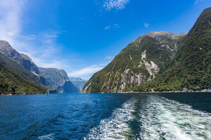 Tour panorámico privado de Milford Sound Fiordos Cascadas y vistas imagen 6