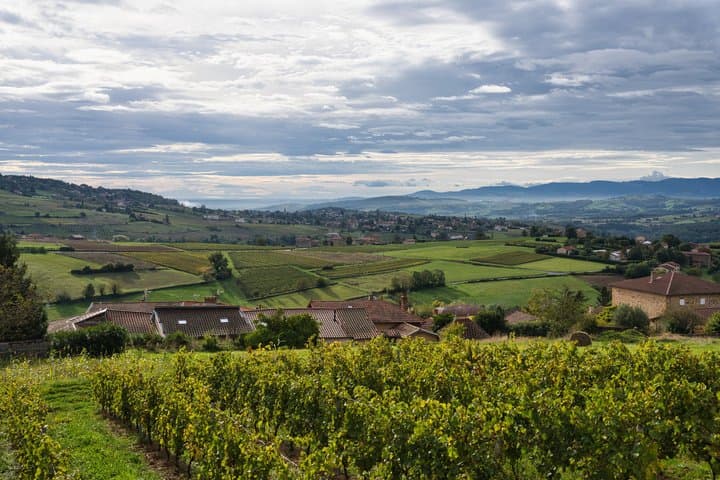 Visite privée des vins à Lyon Excursion d'une journée aux pierres dorées du Beaujolais image 1