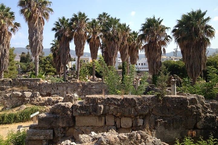 Visite privée d'une demi-journée de l'histoire et des monuments de Kos image 6