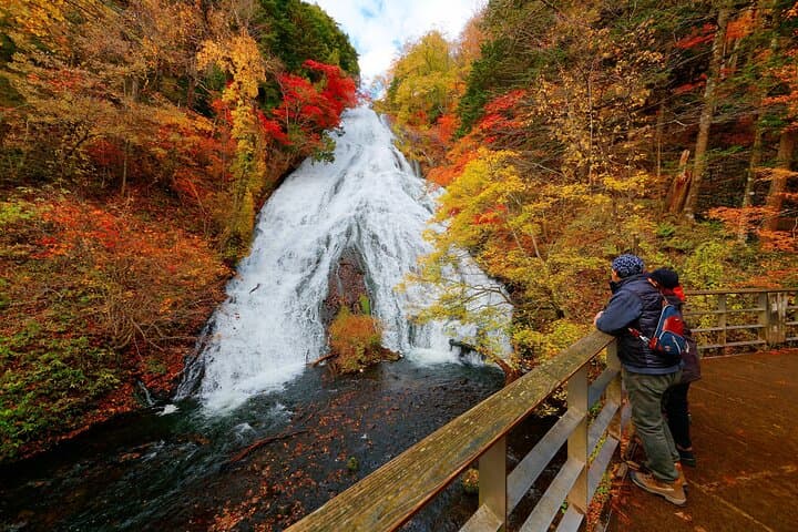 Excursión privada de un día a Nikko desde cascadas, lagos y montañas de Tokio imagen 3