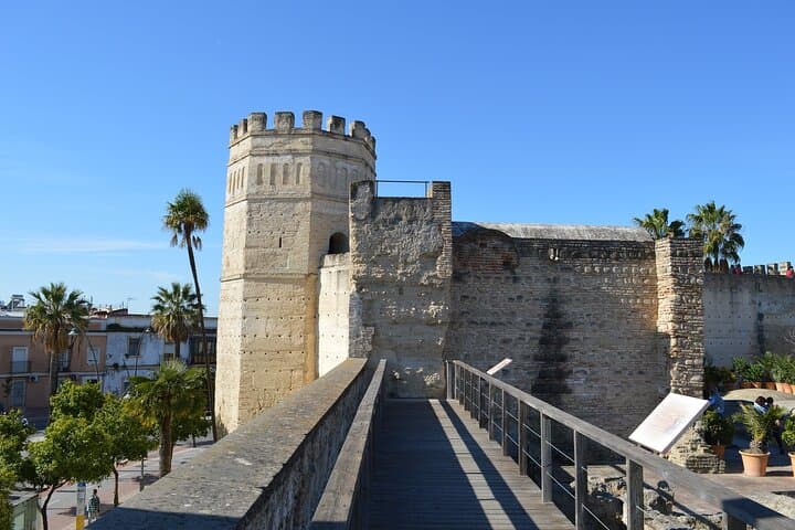 De Séville : excursion privée d'une journée à Jerez et Cadix image 6