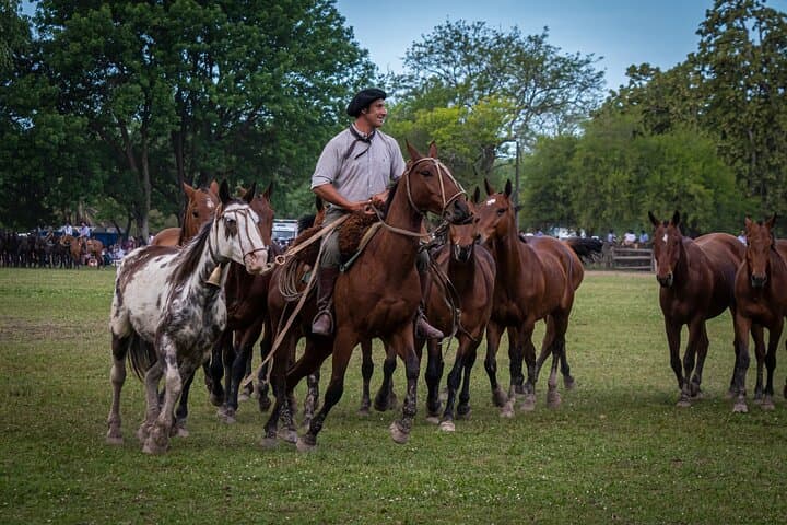 De Buenos Aires : excursion guidée privée d'une journée dans une estancia image 4