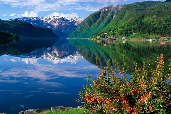 Tour privado al fiordo Sognefjord desde el fiordo icónico de Oslo en Noruega imagen 3