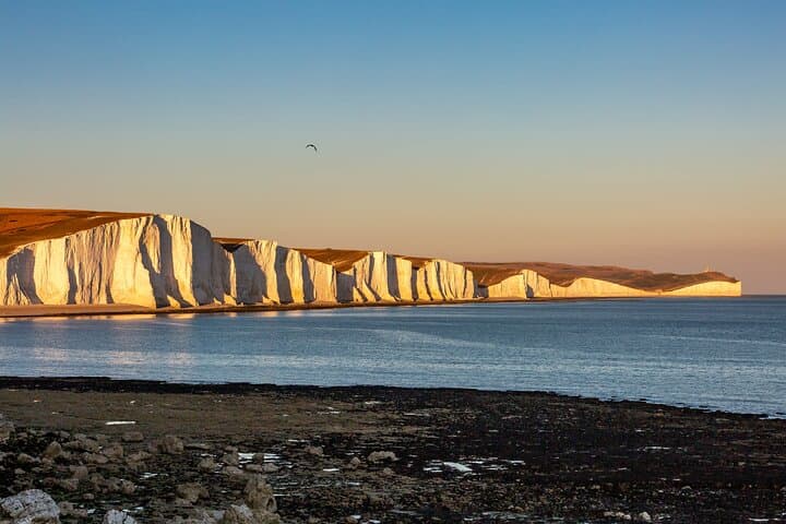 Excursión de un día desde Londres a Brighton y los acantilados Seven Sisters imagen 6