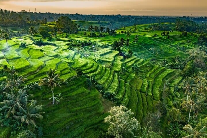 Passeio privado de los templos, terrazas de arroz y pueblos de Bali imagen 2