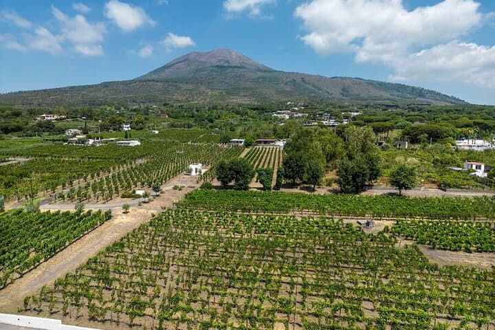 Escapade privée à Pompéi et dans les vignobles au départ de Naples image 2