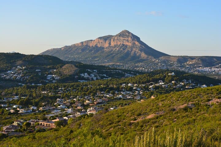 Visite privée d'une demi-journée à Elche depuis Alicante image 6