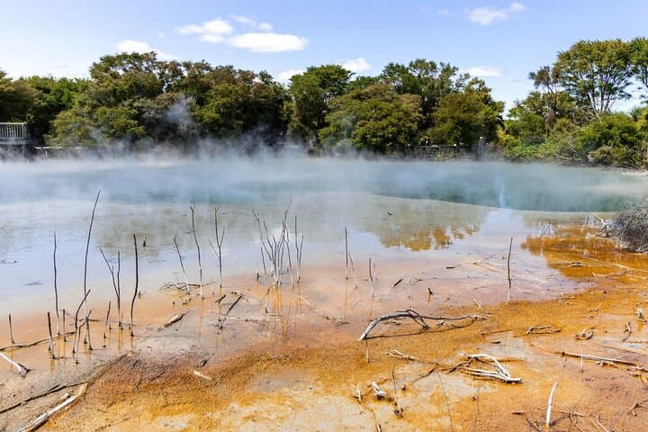 From Auckland: Wonders of Rotorua and Waitomo Tour image 3
