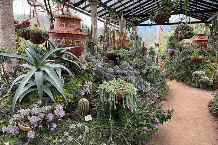 Private Tour of the South Coast and Vallarta Botanical Garden