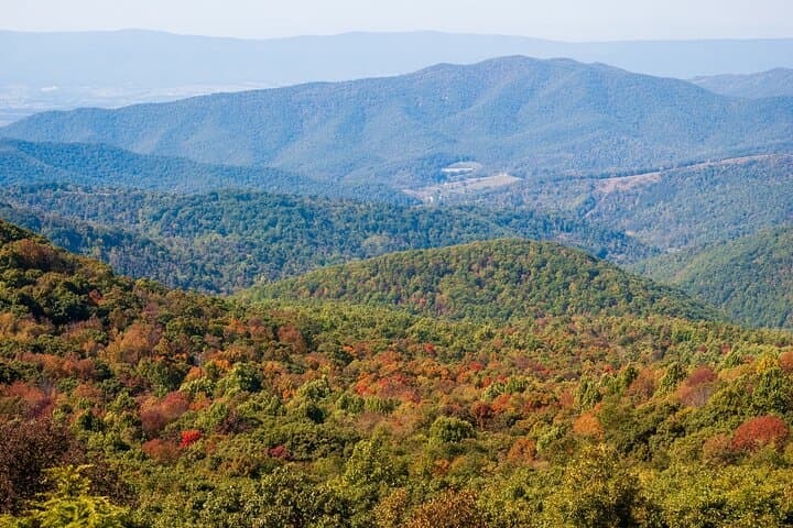 Excursion privée d'une journée à Shenandoah Skyline Drive au départ de Washington DC image 3