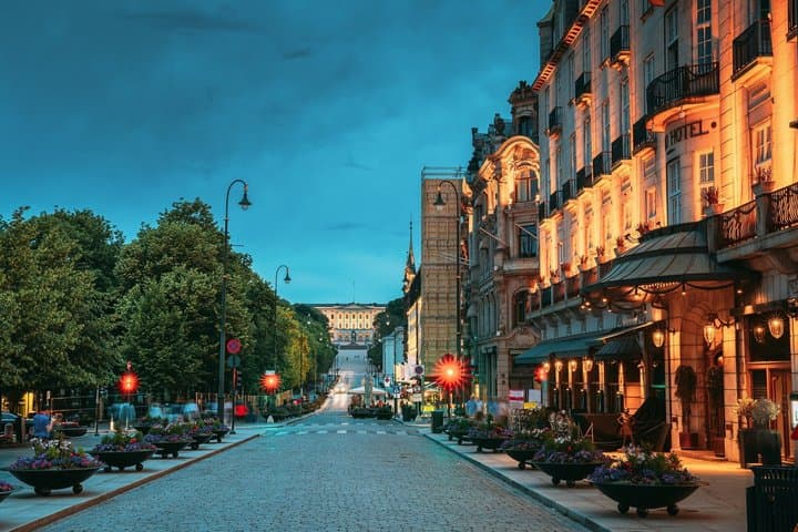 Tour privado nocturno por Oslo: luces de la ciudad y vistas al fiordo imagen 3