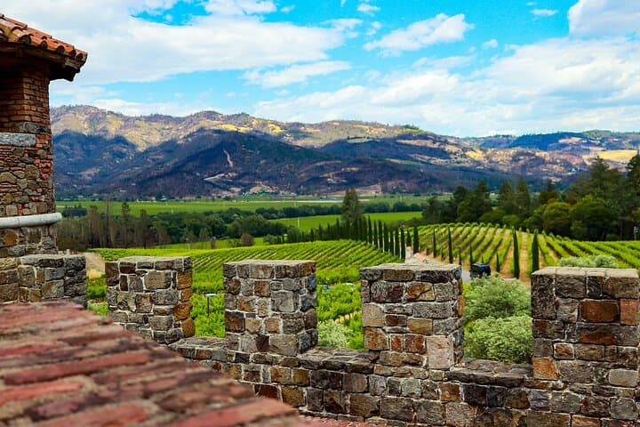 Passeio privado de vino de día completo por Napa y Sonoma imagen 5
