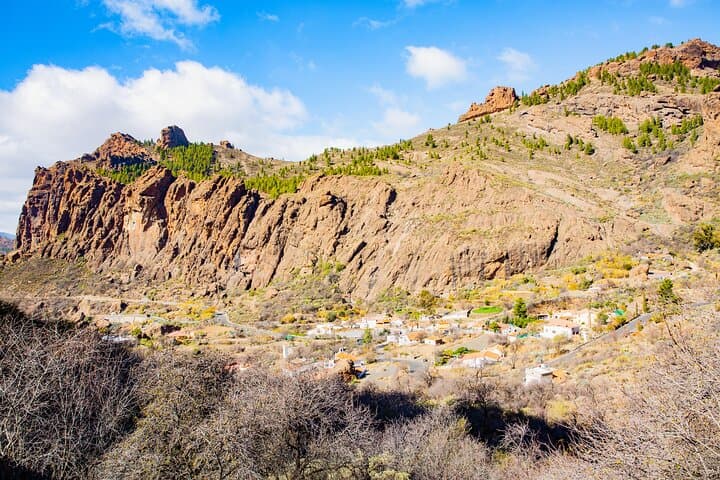 Safari Aventura: Descubre el Corazón Salvaje de Gran Canaria imagen 3