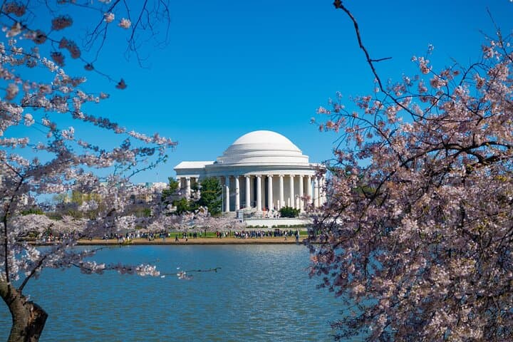 Tour privado por la ciudad de Washington DC con monumentos y vistas imagen 5