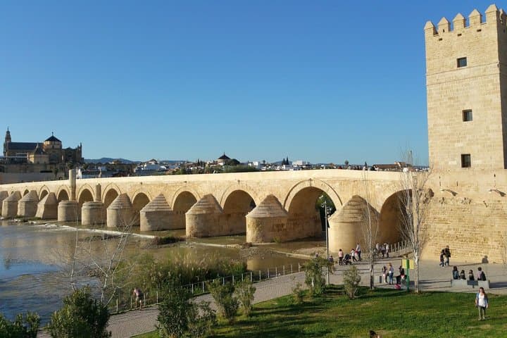 Private day tour to Córdoba image 4